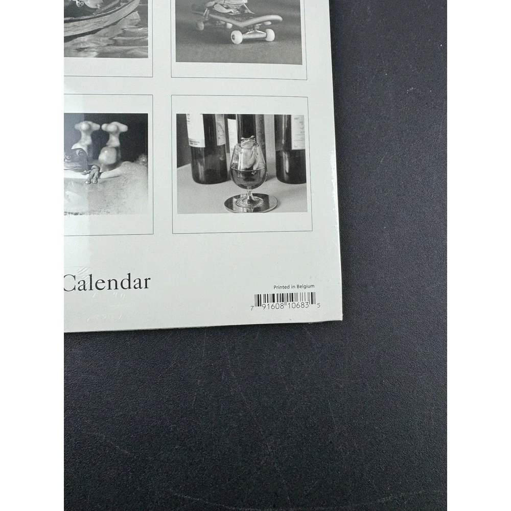 Fabulous Frogs 2002 Wall Calendar David McEnery Graphique de France Vintage New